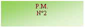 Zone de Texte: P.M.N°2