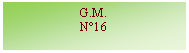 Zone de Texte: G.M.N°16