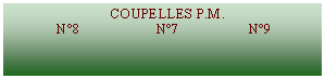 Zone de Texte:                              COUPELLES P.M.              N8                     N7                   N9